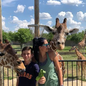 Meet your Posher, Megan